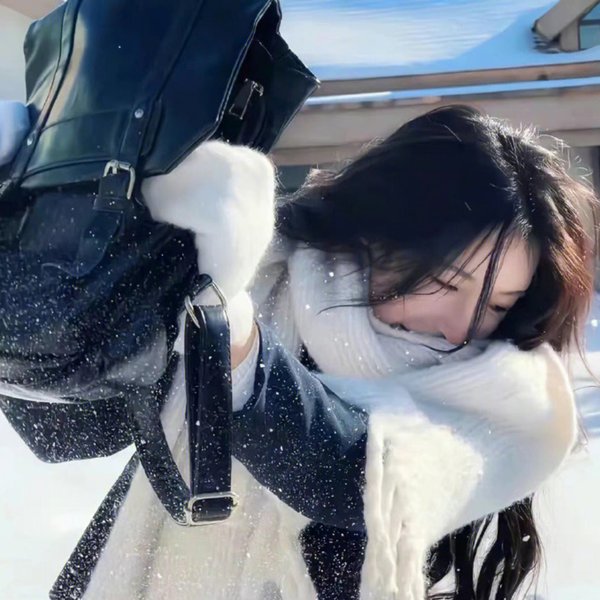 春满凤城